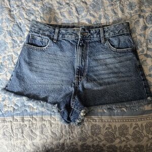 Pacsun Denim Blue Women's Shorts